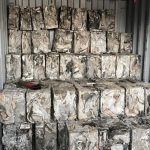 RADIATOR TALLY 150x150